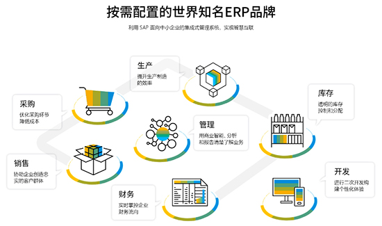 SAP管理系统,ERP管理系统,SAP系统,ERP系统,SAP ERP,SAP ERP系统,知名企业都在用的ERP系统,企业都在用的ERP系统