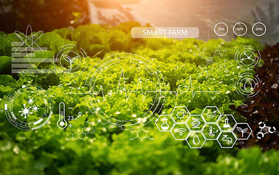 农业ERP,农业管理软件,农业解决方案,SAP农业解决方案,现代农业ERP,SAP ERP系统,农业SAP系统,农业ERP系统